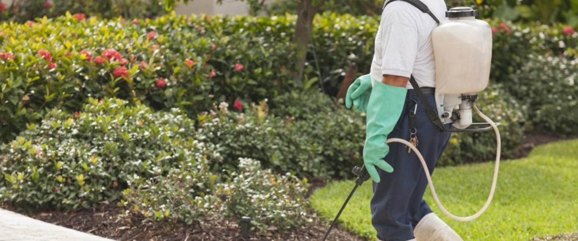 What does a pest control tech make?