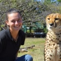 How much does a wildlife rehabilitator make in australia?